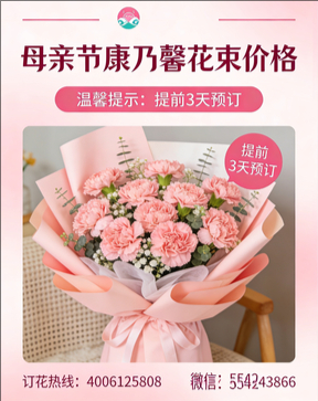 九江湖口县花店母亲节康乃馨花束