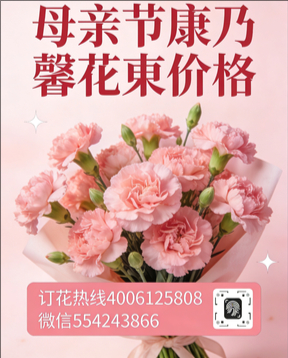 九江湖口县花店母亲节康乃馨花束